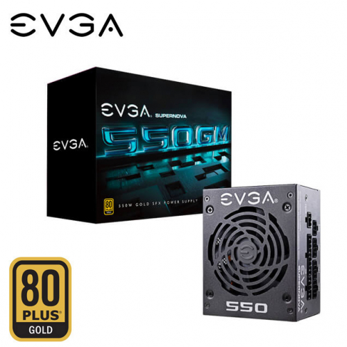 EVGA 艾維克 550W 550 GM 80 PLUS 金牌 SFX 電源供應器